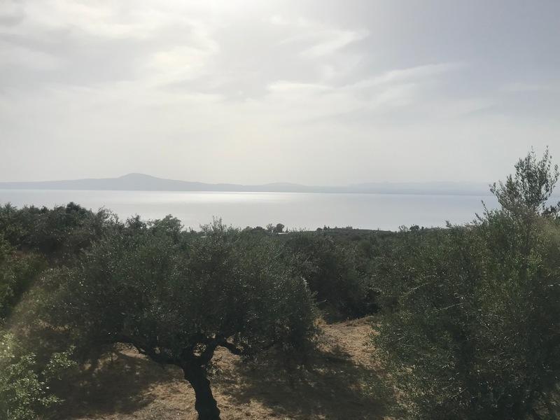 Οικόπεδο 4050 Μεγάλη Μαντίνεια.