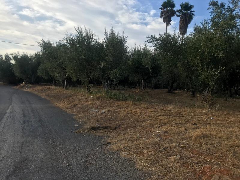 Οικόπεδο 4900 τ.μ. Φραγκοπήγαδο Καλαμάτα.