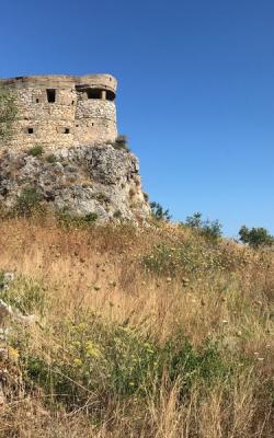 Οικόπεδο 2014 τ.μ. Άγιο Νικόλαο