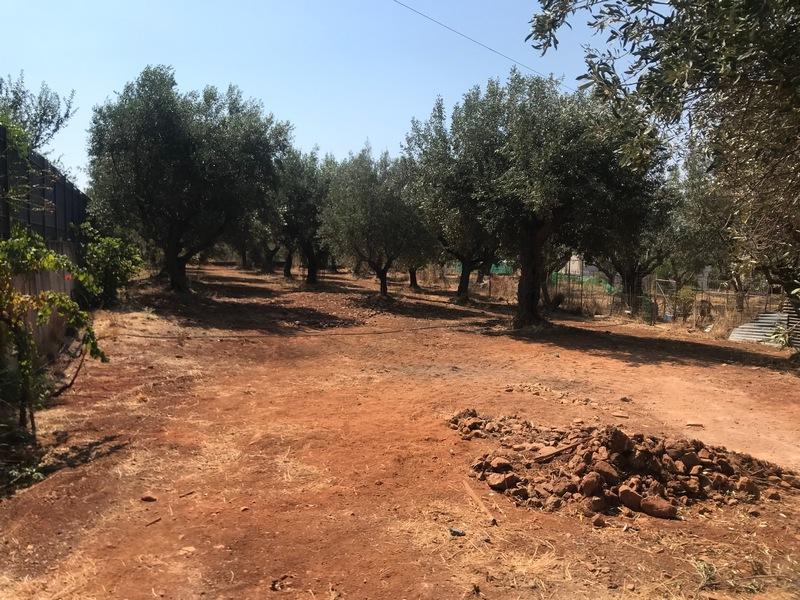 Οικόπεδο 805 τ.μ. Ξηροκάμπι Λε'ί'κων.